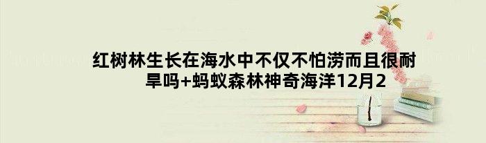 红树林生长在海水中不仅不怕涝而且很耐旱吗 蚂蚁森林神奇海洋12月2日答案