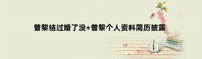 曾黎结过婚了没 曾黎个人资料简历披露