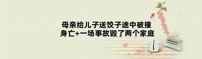 母亲给儿子送饺子途中被撞身亡 一场事故毁了两个家庭