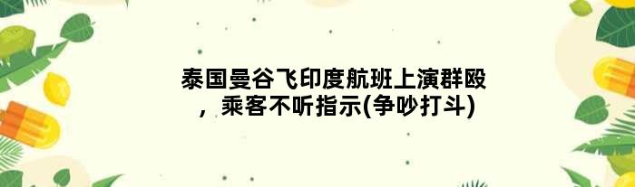 泰国曼谷飞印度航班上演群殴，乘客不听指示(争吵打斗)
