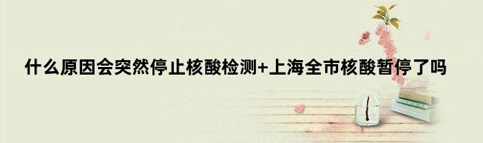 什么原因会突然停止核酸检测 上海全市核酸暂停了吗