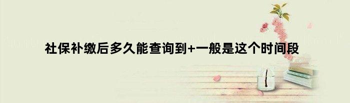 社保补缴后多久能查询到 一般是这个时间段