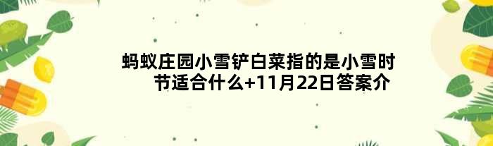 蚂蚁庄园小雪铲白菜指的是小雪时节适合什么 11月22日答案介绍