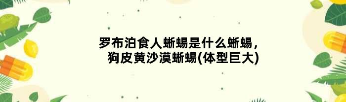 罗布泊食人蜥蜴是什么蜥蜴，狗皮黄沙漠蜥蜴(体型巨大)