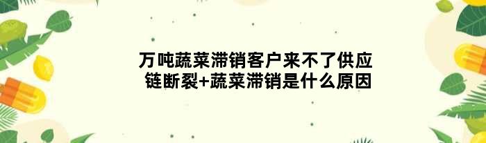 万吨蔬菜滞销客户来不了供应链断裂 蔬菜滞销是什么原因