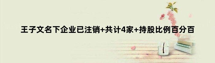 王子文名下企业已注销 共计4家 持股比例百分百