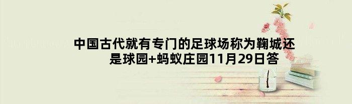 中国古代就有专门的足球场称为鞠城还是球园 蚂蚁庄园11月29日答案解析