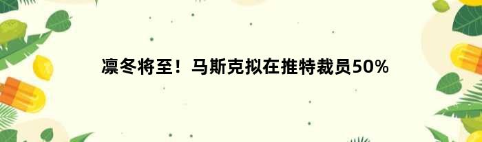 凛冬将至！马斯克拟在推特裁员50%
