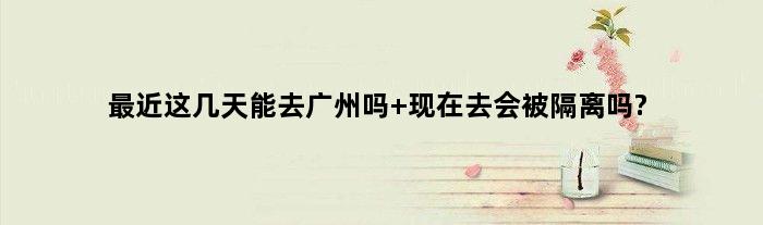 最近这几天能去广州吗 现在去会被隔离吗?