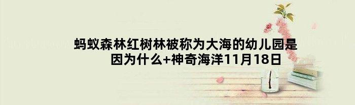 蚂蚁森林红树林被称为大海的幼儿园是因为什么 神奇海洋11月18日答案