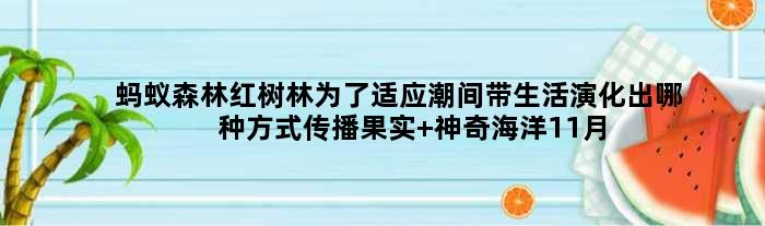 蚂蚁森林红树林为了适应潮间带生活演化出哪种方式传播果实 神奇海洋11月21日答案