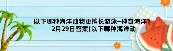 以下哪种海洋动物更擅长游泳 神奇海洋12月29日答案(以下哪种海洋动物最多)