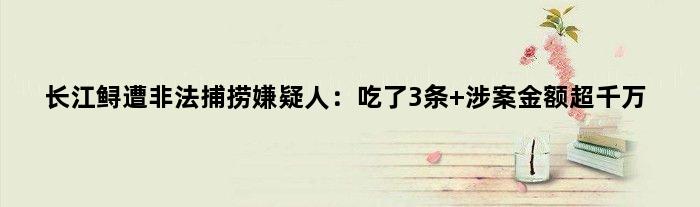 长江鲟遭非法捕捞嫌疑人：吃了3条 涉案金额超千万
