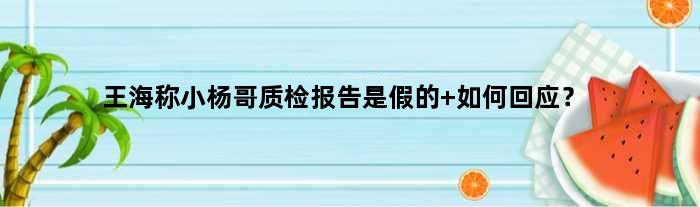 王海称小杨哥质检报告是假的 如何回应？