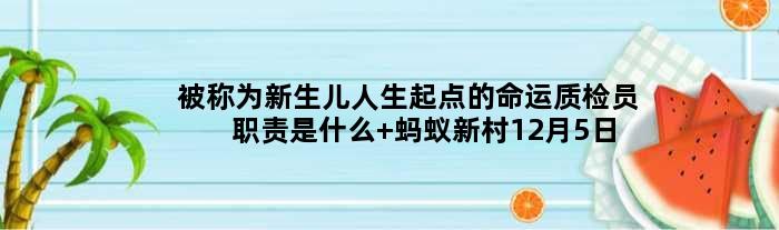 被称为新生儿人生起点的命运质检员职责是什么 蚂蚁新村12月5日答案