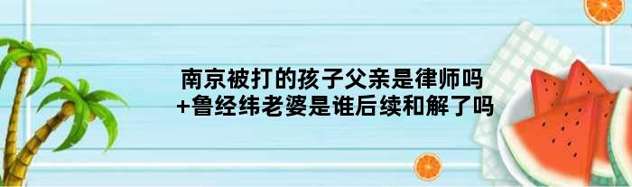 南京被打的孩子父亲是律师吗 鲁经纬老婆是谁后续和解了吗