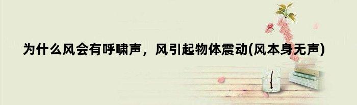 为什么风会有呼啸声，风引起物体震动(风本身无声)