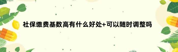 社保缴费基数高有什么好处 可以随时调整吗