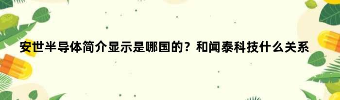 安世半导体简介显示是哪国的？和闻泰科技什么关系