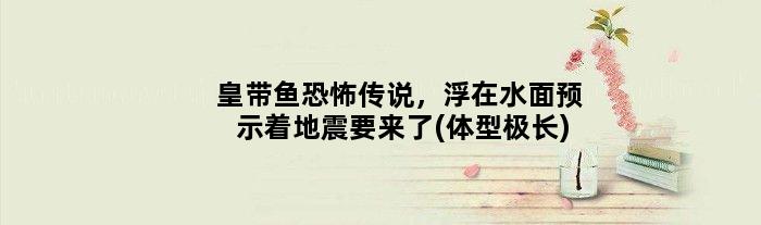 皇带鱼恐怖传说，浮在水面预示着地震要来了(体型极长)