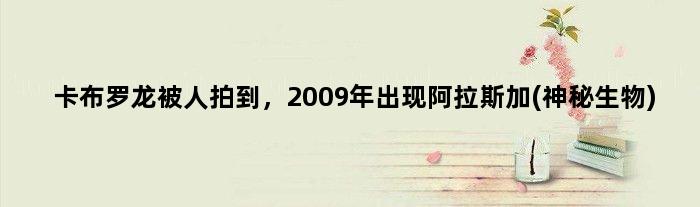 卡布罗龙被人拍到，2009年出现阿拉斯加(神秘生物)