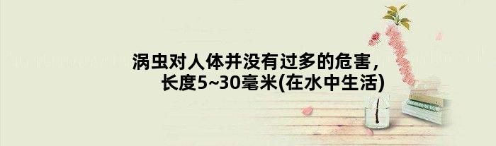 涡虫对人体并没有过多的危害，长度5~30毫米(在水中生活)