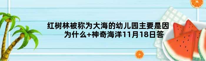 红树林被称为大海的幼儿园主要是因为什么 神奇海洋11月18日答案