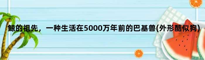 鲸的祖先，一种生活在5000万年前的巴基兽(外形酷似狗)