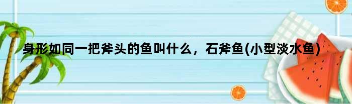 身形如同一把斧头的鱼叫什么，石斧鱼(小型淡水鱼)