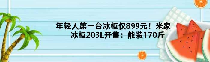 年轻人台冰柜仅899元！米家冰柜203L开售：能装170斤肉