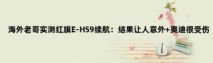 海外老哥实测红旗E-HS9续航：结果让人意外 奥迪很受伤