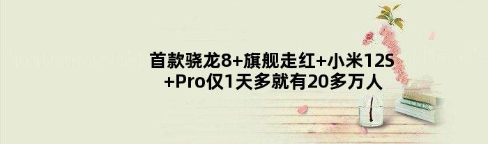 骁龙8+旗舰走红 小米12S Pro仅1天多就有20多万人预约