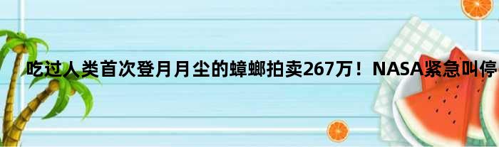 吃过人类登月月尘的蟑螂拍卖267万！NASA紧急叫停