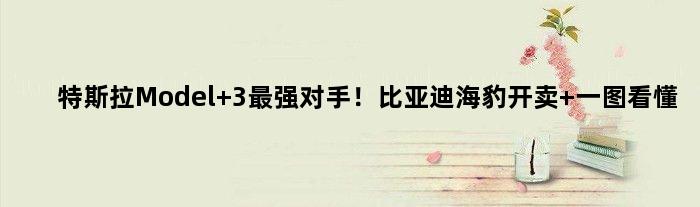 特斯拉Model 3最强对手！比亚迪海豹开卖 一图看懂