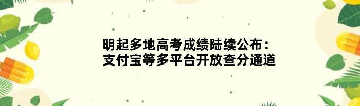 明起多地高考成绩陆续公布：支付宝等多平台开放查分通道