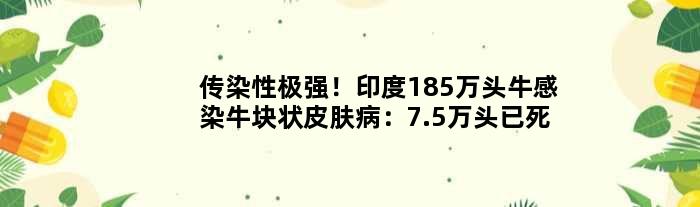 传染性极强！印度185万头牛感染牛块状皮肤病：7.5万头已死亡