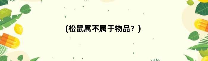 (松鼠属不属于物品？)