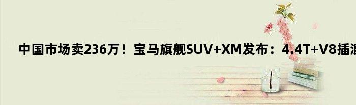 中国市场卖236万！宝马旗舰SUV XM发布：4.4T V8插混装车