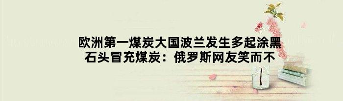 欧洲煤炭大国波兰发生多起涂黑石头冒充煤炭：俄罗斯网友笑而不语