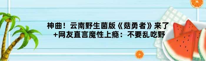 神曲！云南野生菌版《菇勇者》来了 网友直言魔性上瘾：不要乱吃野生菌