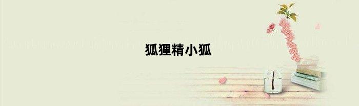 狐狸精小狐