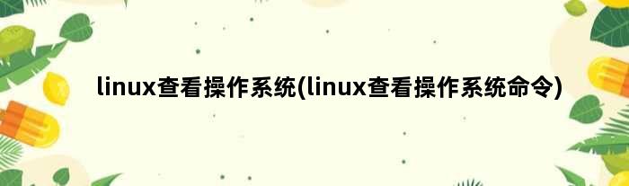 linux查看操作系统(linux查看操作系统命令)