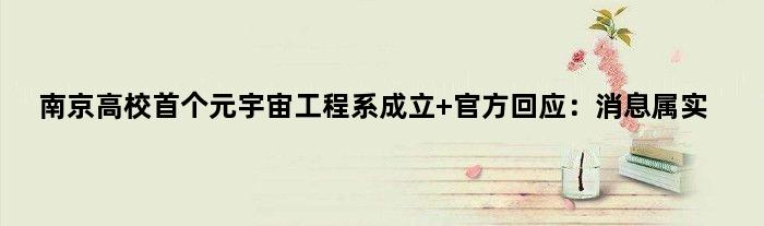 南京高校元宇宙工程系成立 官方回应：消息属实