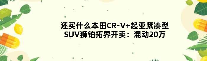 还买什么本田CR-V 起亚紧凑型SUV狮铂拓界开卖：混动20万出头