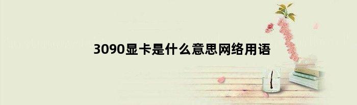 3090显卡是什么意思网络用语