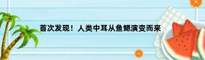 发现！人类中耳从鱼鳃演变而来