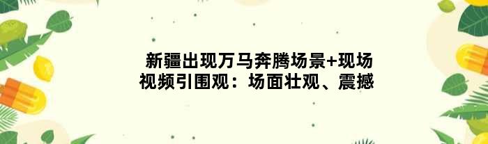 新疆出现万马奔腾场景 现场视频引围观：场面壮观、震撼