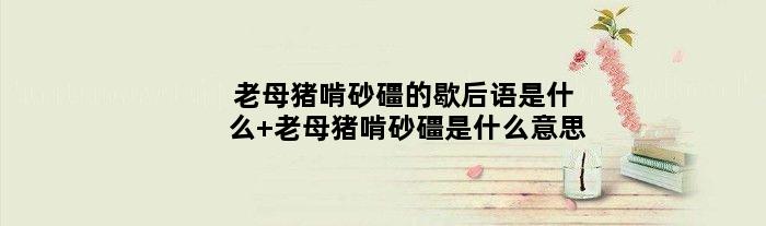 老母猪啃砂礓的歇后语是什么 老母猪啃砂礓是什么意思