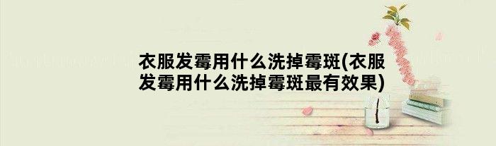 衣服发霉用什么洗掉霉斑(衣服发霉用什么洗掉霉斑最有效果)
