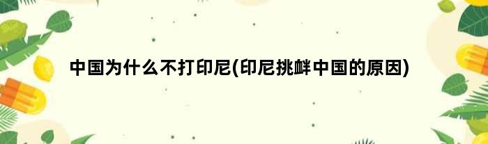 中国为什么不打印尼(印尼挑衅中国的原因)